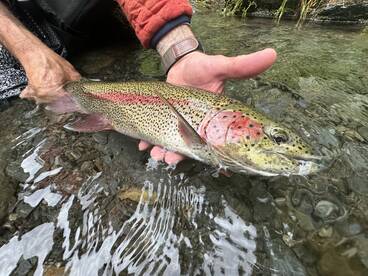 Cooper Landing Report Photo 2