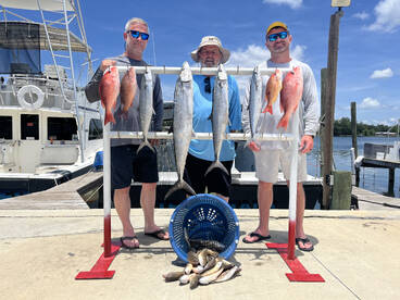 King Mackerel is What’s for Dinner!