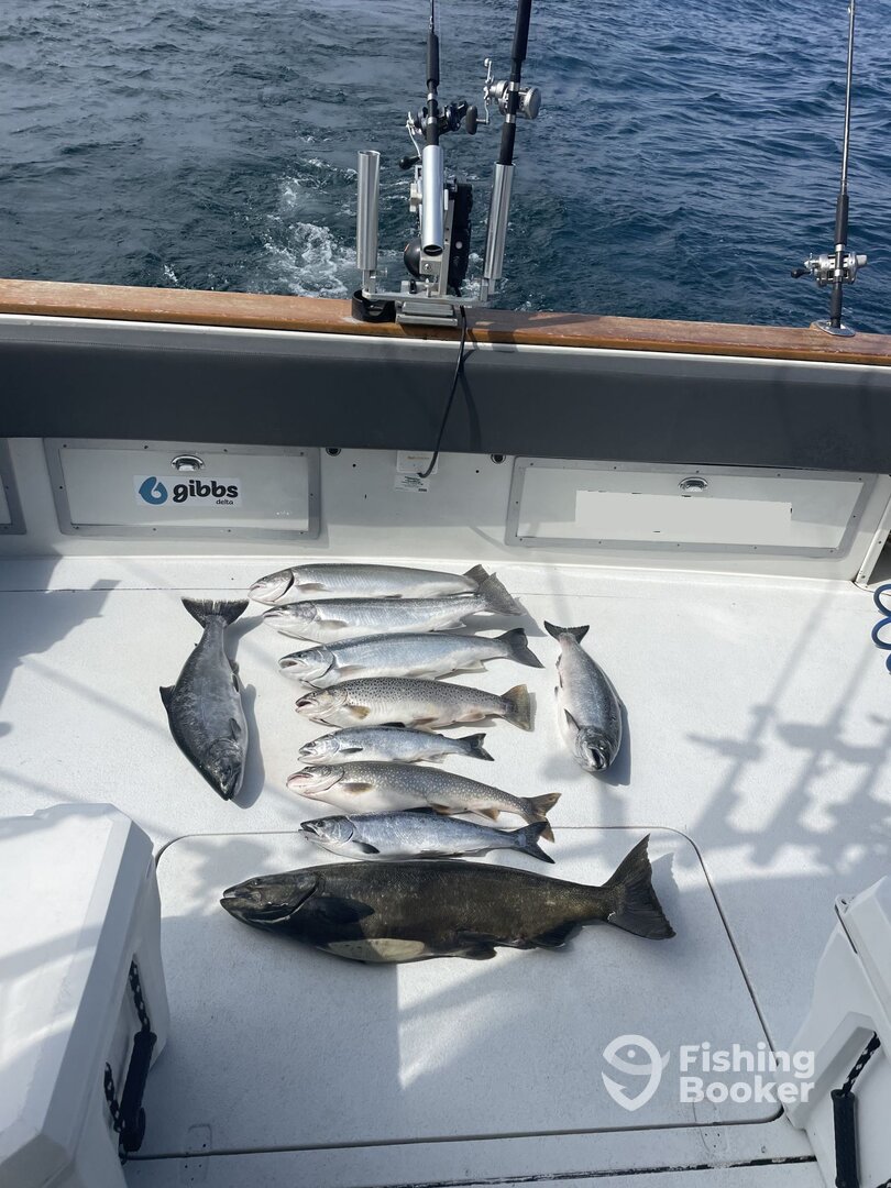 Grand Haven Report Photo 0