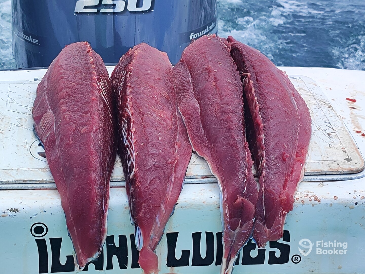 Quepos Report Photo 0