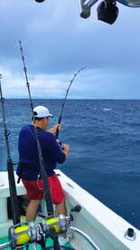 Pelea con un gran marlin negro 