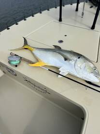 Savannah Report Photo 1