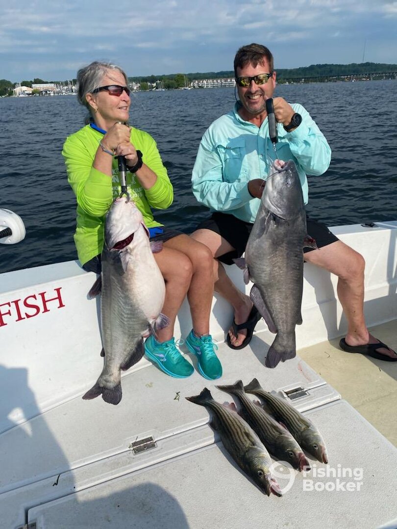 Havre de Grace Report Photo 0