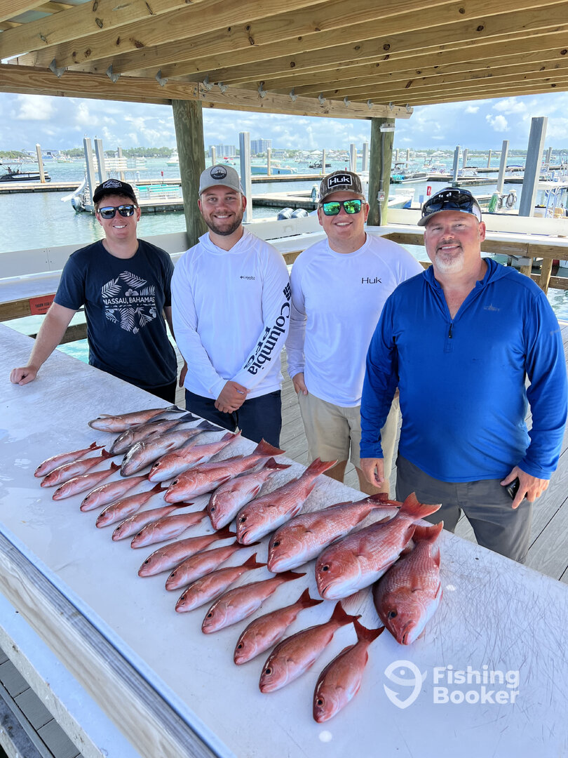 Orange Beach Report Photo 0