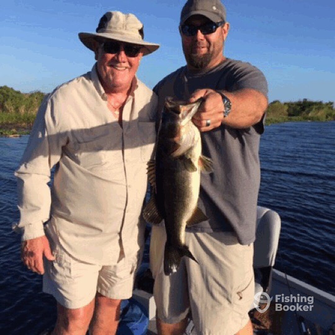 Satsuma Report Photo 0