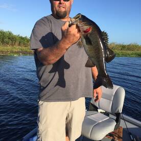 Satsuma Report Photo 2