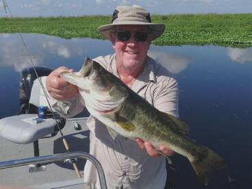 Satsuma Report Photo 1