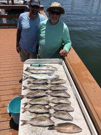 Dunedin Report Photo 1