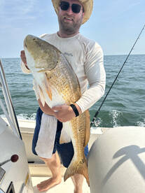 Hampton Report Photo 1