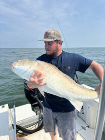 Giant red drum and cobia