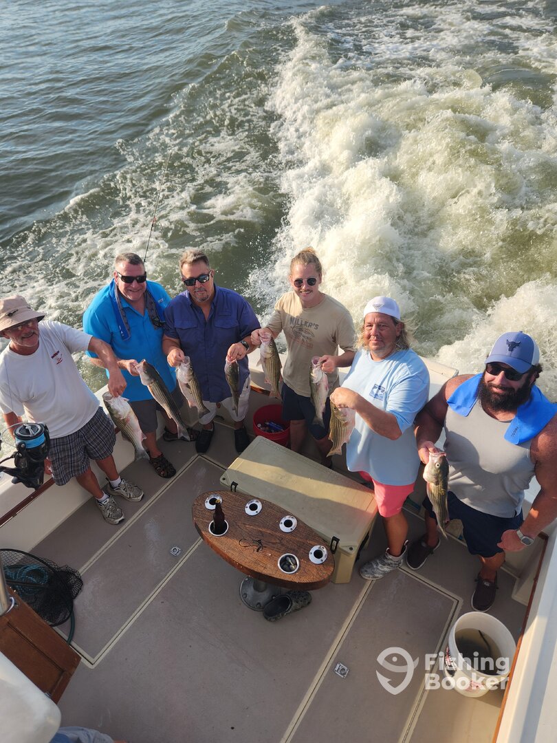 Baltimore Report Photo 0