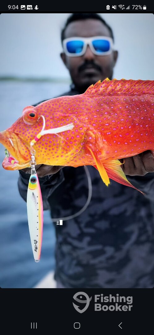 Cartagena de Indias Report Photo 0