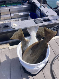 Santa Cruz Report Photo 2