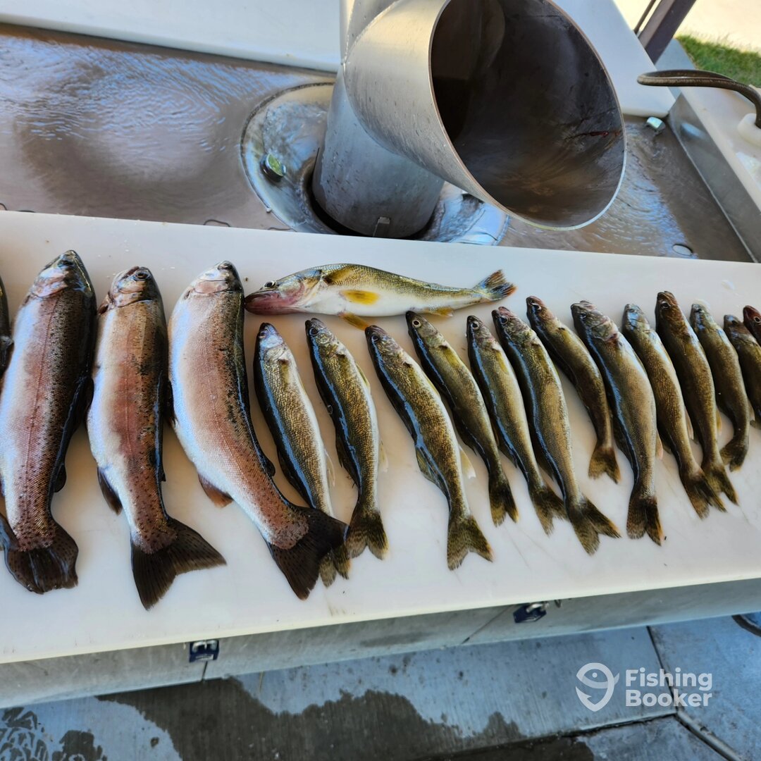 Duchesne Report Photo 0