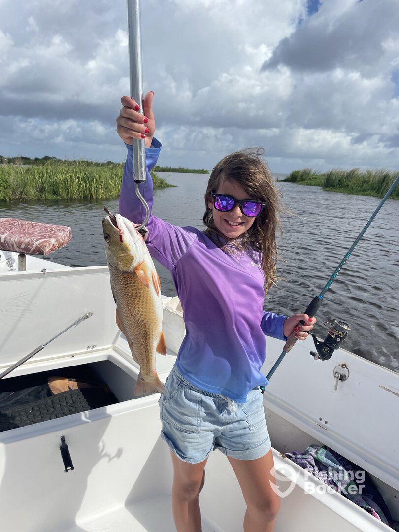 Barataria Report Photo 0