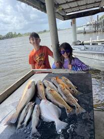 Barataria Report Photo 1