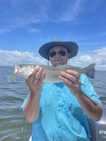 Sight casting at large schools of red dr