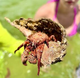 Sarasota Report Photo 1