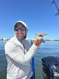 Sarasota Report Photo 2