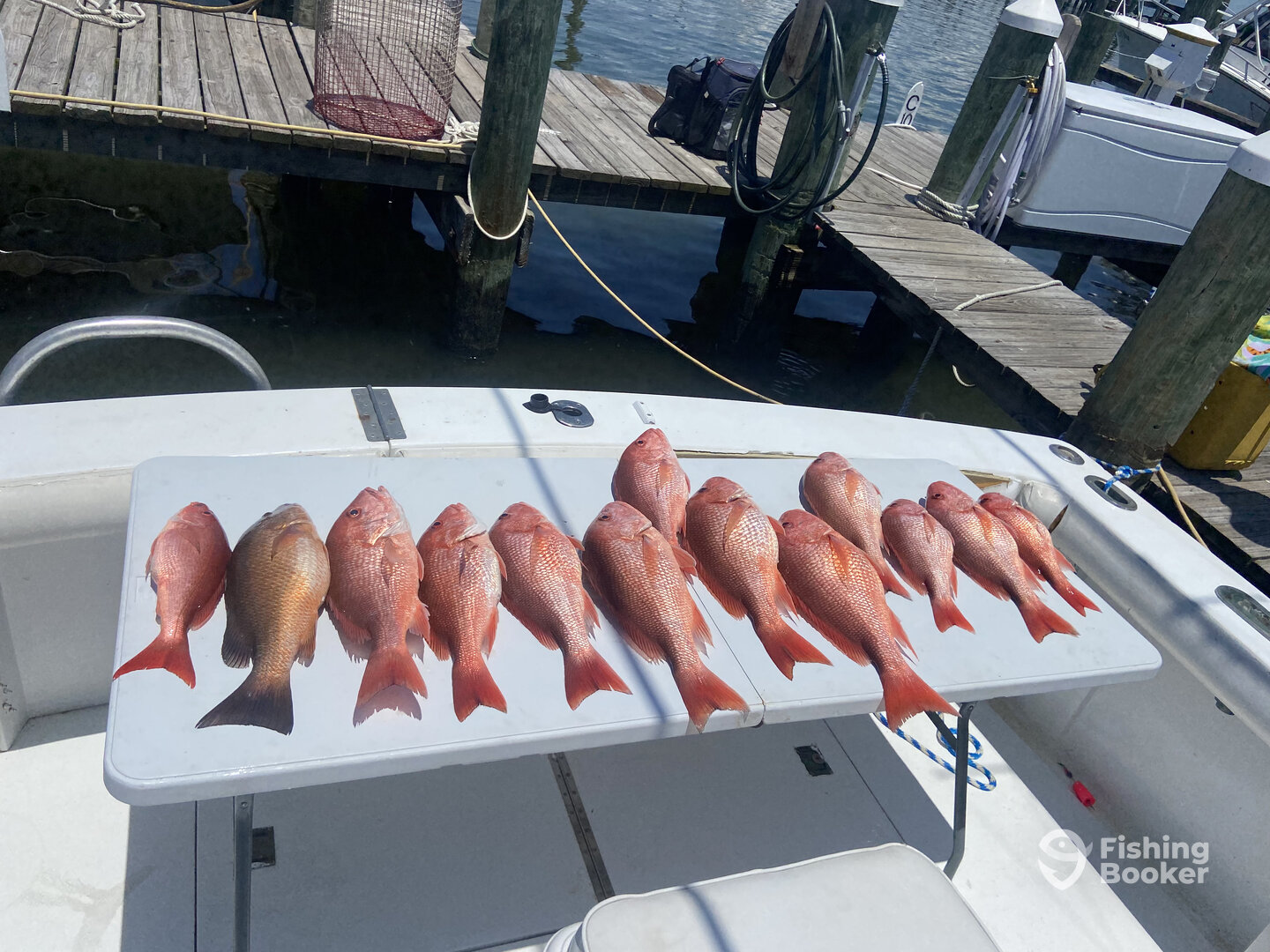 Fort Morgan Report Photo 0