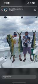 Big Bull Mahi season is here!!