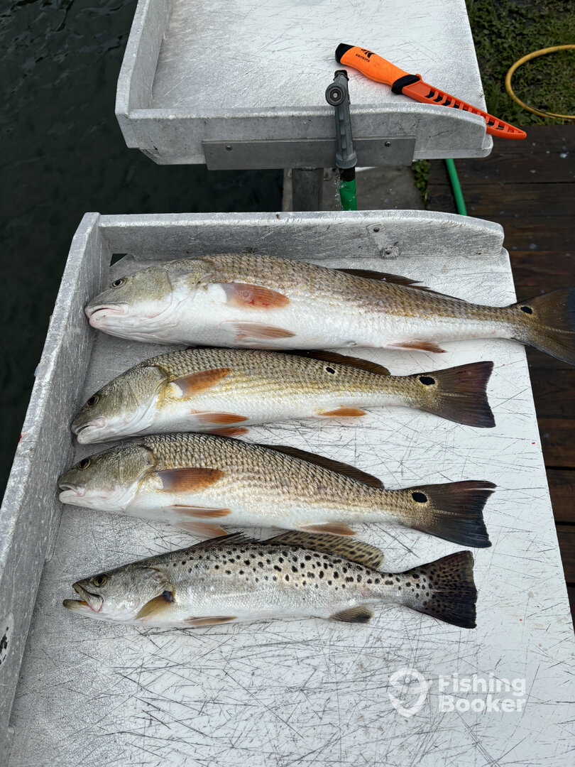 Cedar Point Report Photo 0