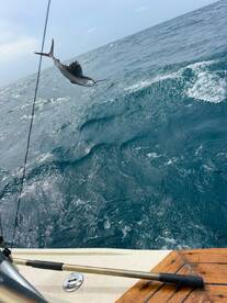 Hot, Fast and Exciting Action