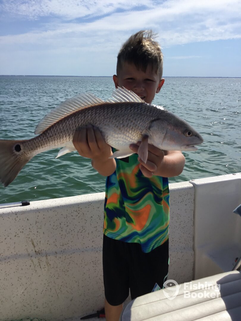 Port St. Joe Report Photo 0