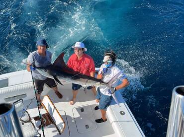 Sunday the 7th of July - summer marlins 