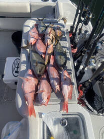 Gulfport Report Photo 1