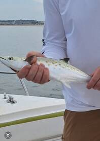 Virginia Beach Report Photo 1