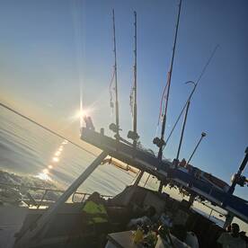 Solomons Report Photo 2