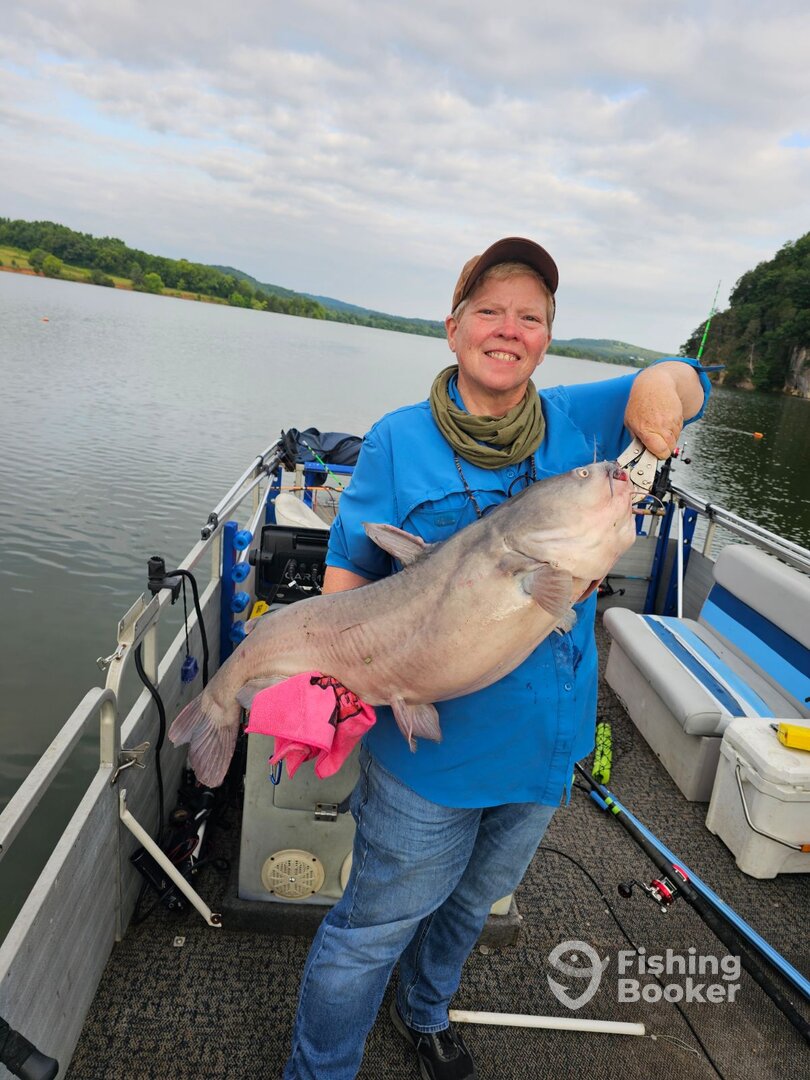 Kingston Report Photo 0