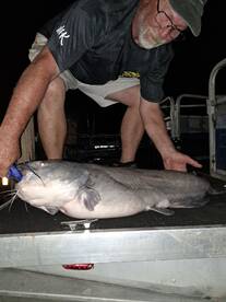 Kingston Report Photo 3