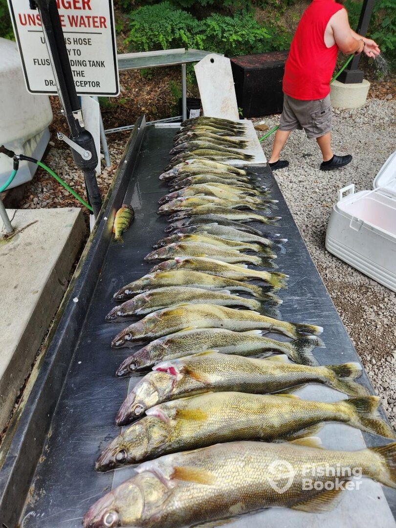 Vermilion Report Photo 0