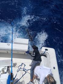 San Juan Report Photo 2