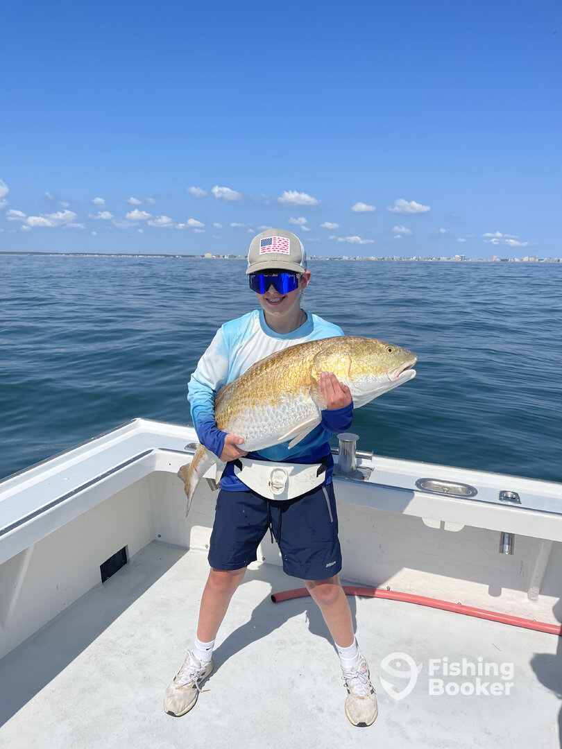 Virginia Beach Report Photo 0