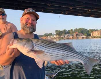 Bismarck Report Photo 4