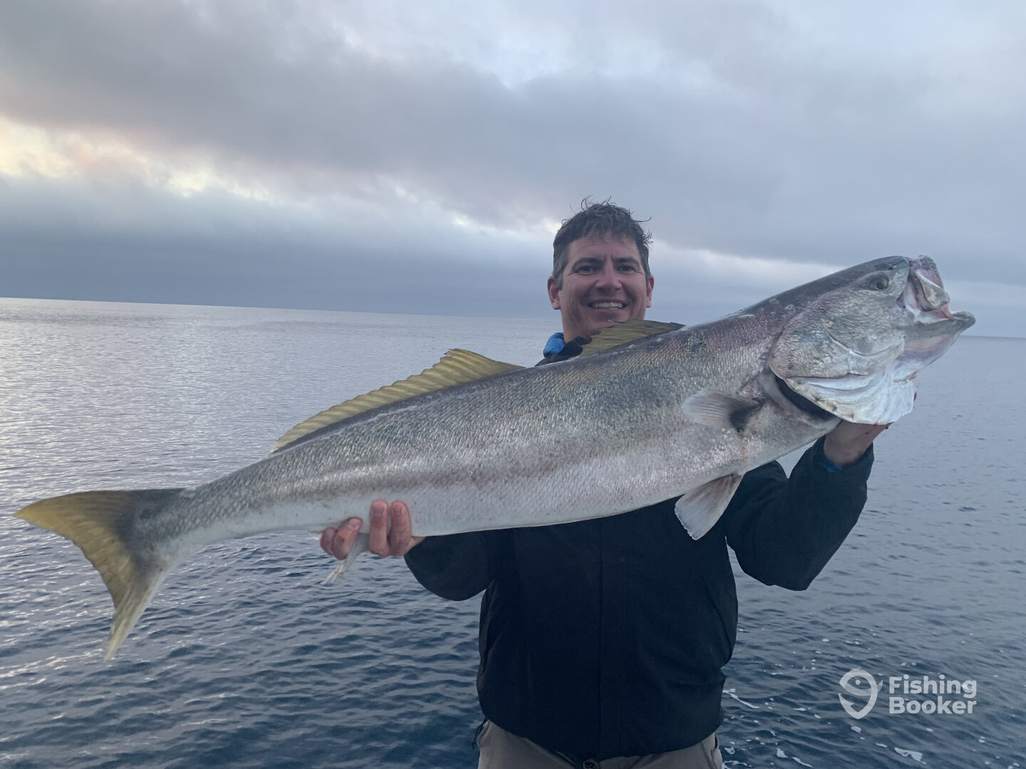 Dana Point Report Photo 0