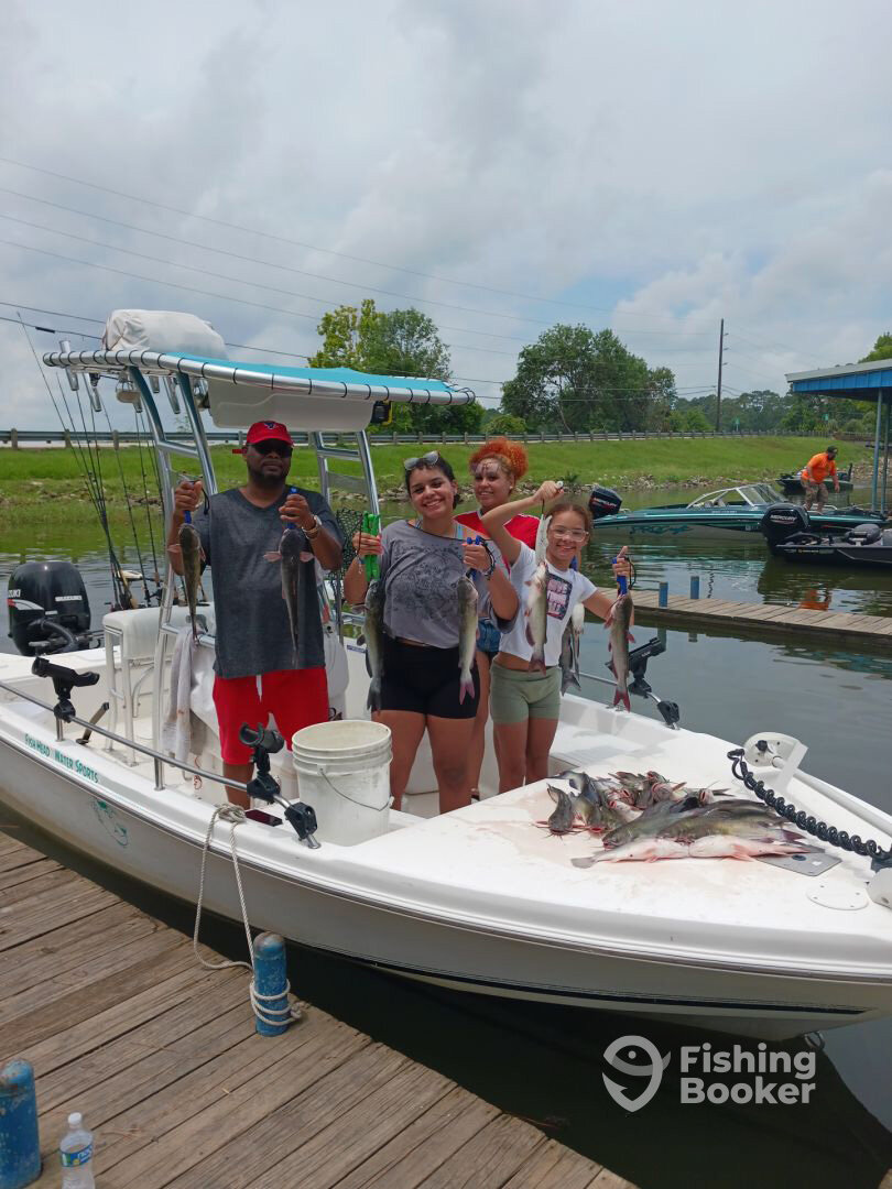 Willis Report Photo 0