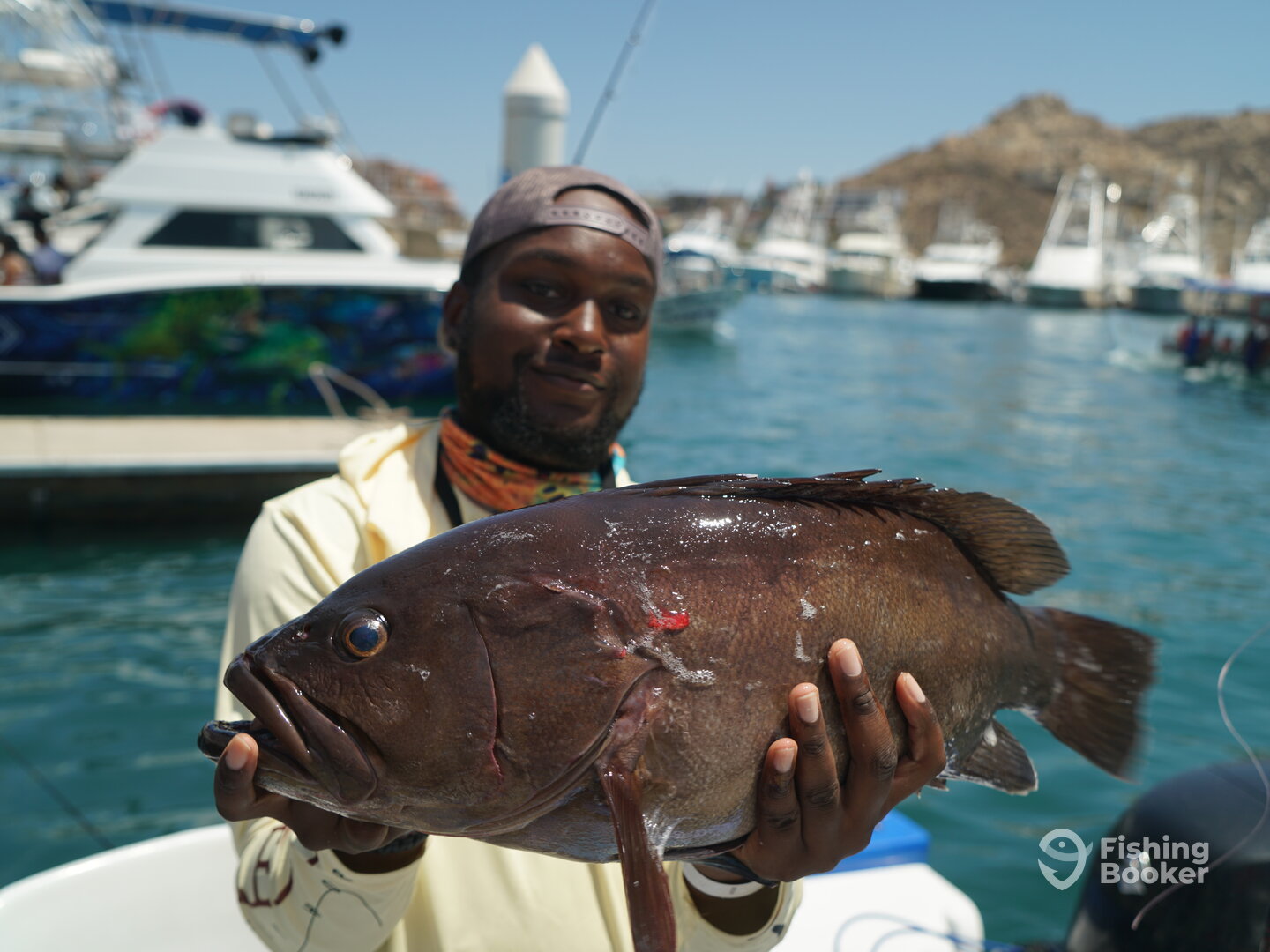Cabo San Lucas Report Photo 0