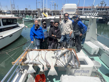 San Francisco Report Photo 2