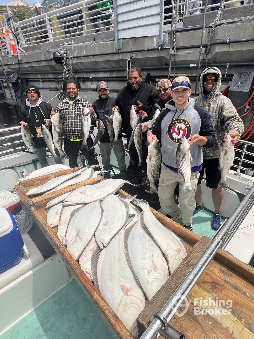 San Francisco Report Photo 0