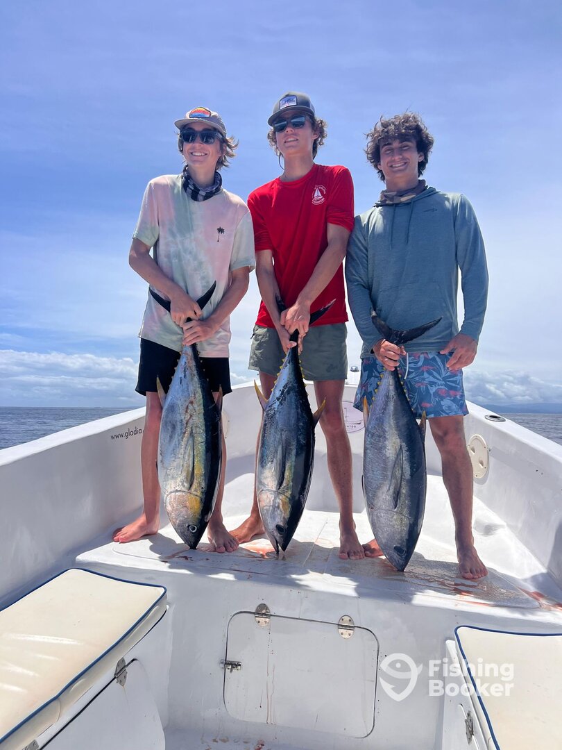 Nicoya Report Photo 0