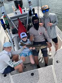 Tampa Report Photo 2