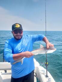 Illinois in the House