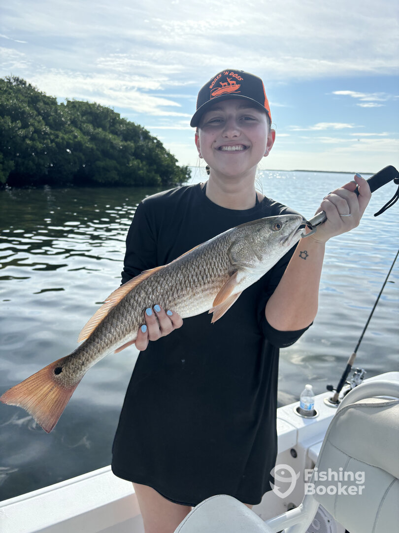 St. Petersburg Report Photo 0