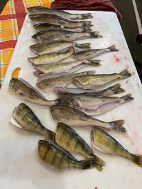 Lake City Report Photo 1