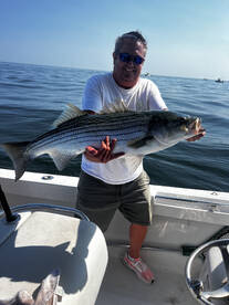 Truro Report Photo 1