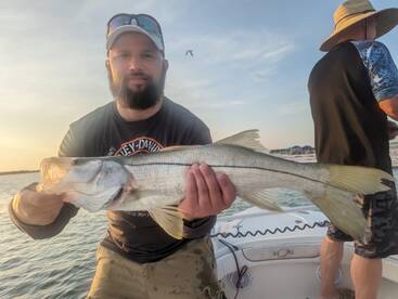 St. Petersburg Report Photo 1